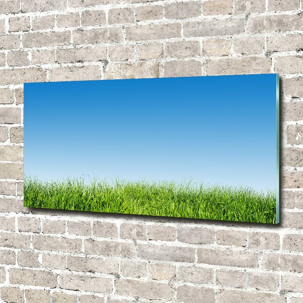 Schilderij op glas Gras