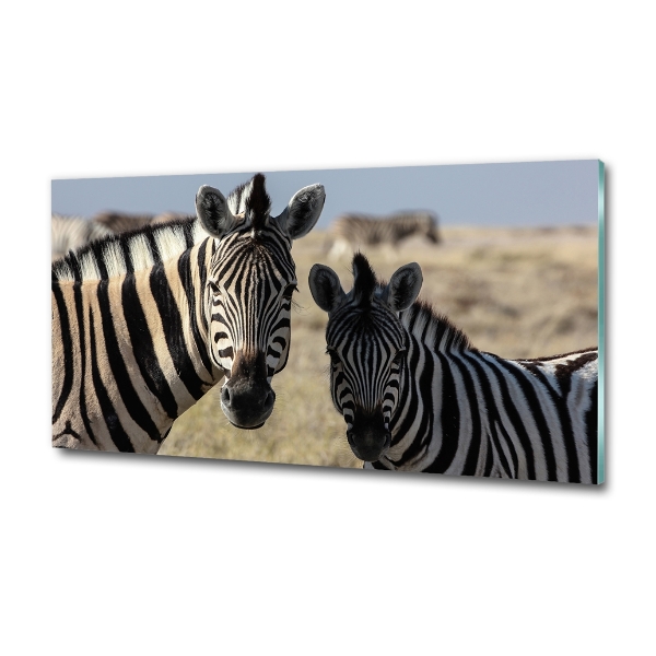 Glazen schilderij Twee zebra's