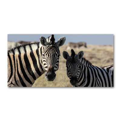 Glazen schilderij Twee zebra's