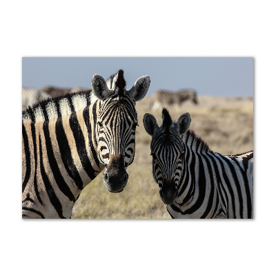 Glazen schilderij Twee zebra's