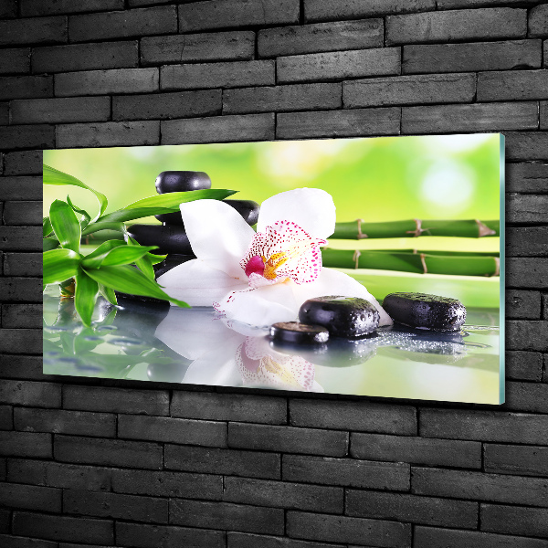 Glazen schilderij Orchidee