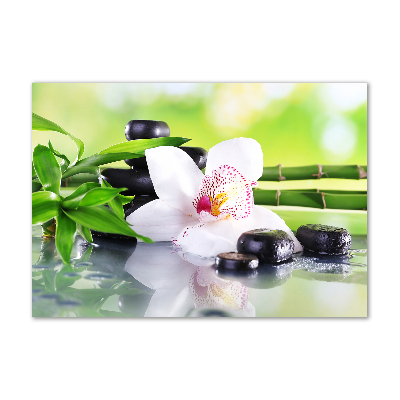 Glazen schilderij Orchidee