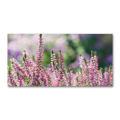 Schilderij op glas Heidebloemen