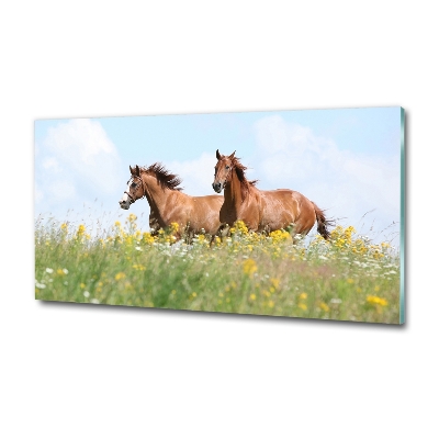 Foto schilderij op glas Twee paarden in galop