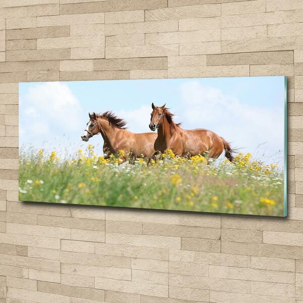 Foto schilderij op glas Twee paarden in galop