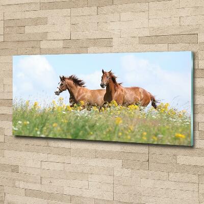Foto schilderij op glas Twee paarden in galop