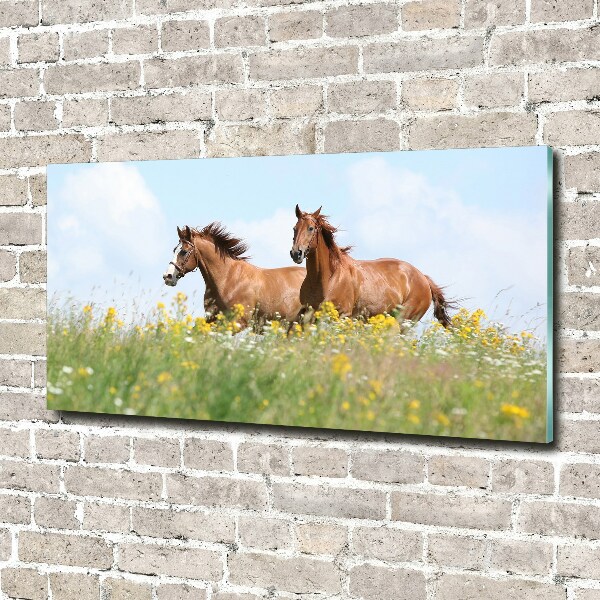 Foto schilderij op glas Twee paarden in galop