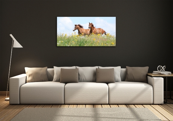 Foto schilderij op glas Twee paarden in galop