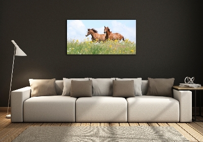 Foto schilderij op glas Twee paarden in galop