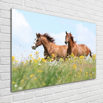 Foto schilderij op glas Twee paarden in galop