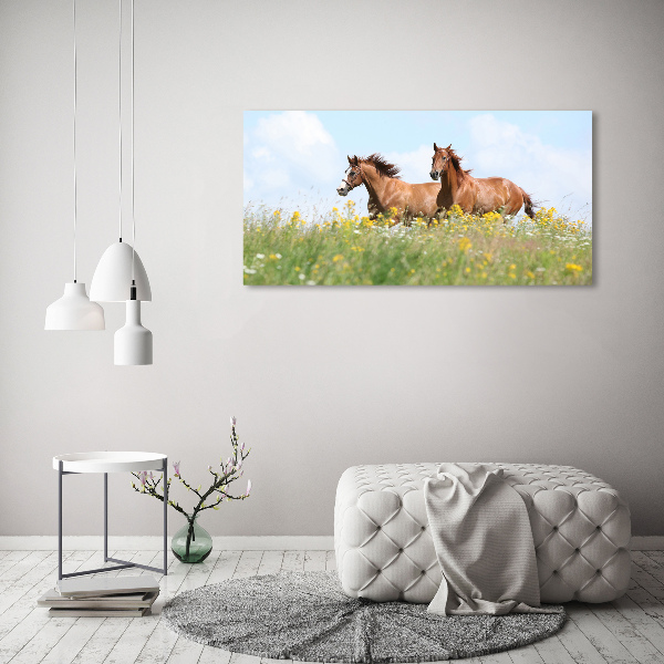 Foto schilderij op glas Twee paarden in galop