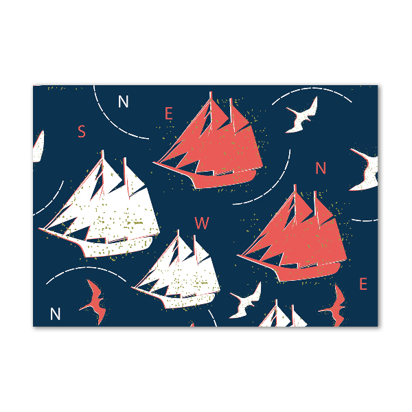 Foto schilderij op glas Schepen zeevogels