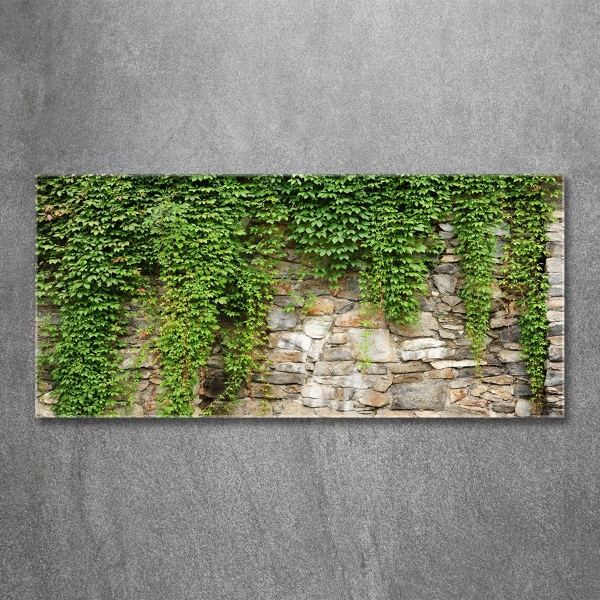 Schilderij glas Groene klimop