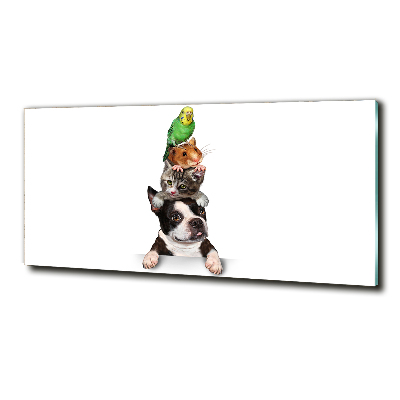 Schilderij glas Een groep dieren