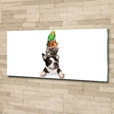 Schilderij glas Een groep dieren