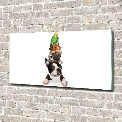 Schilderij glas Een groep dieren