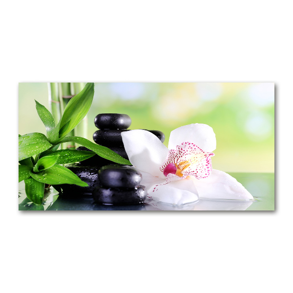 Schilderij op glas Orchidee