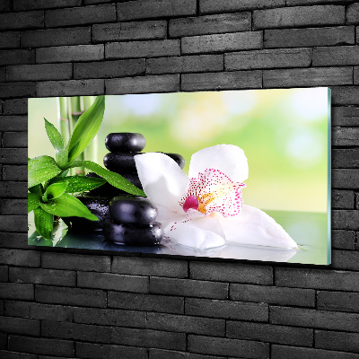 Schilderij op glas Orchidee