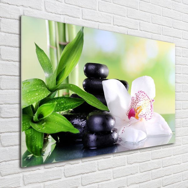 Schilderij op glas Orchidee