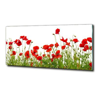 Schilderij glas Klaprozen