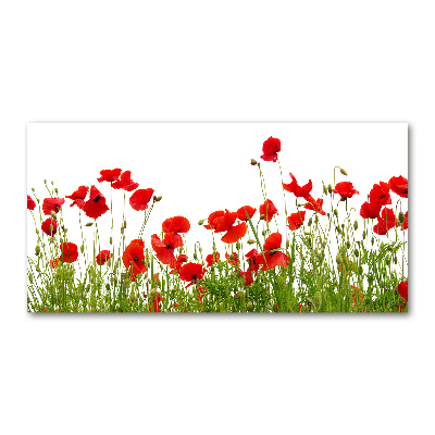 Schilderij glas Klaprozen