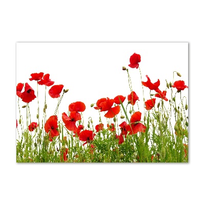 Schilderij glas Klaprozen