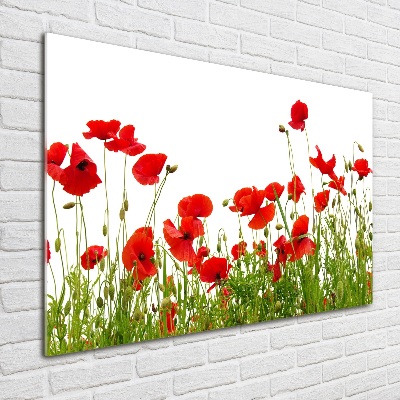 Schilderij glas Klaprozen