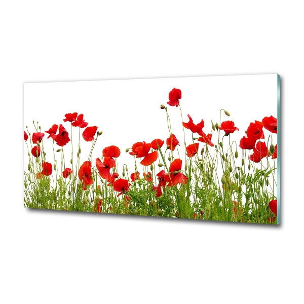 Schilderij glas Klaprozen