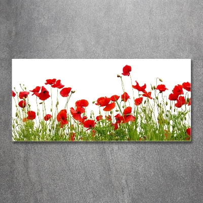 Schilderij glas Klaprozen