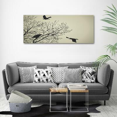 Foto schilderij op glas Kraaien in een boom