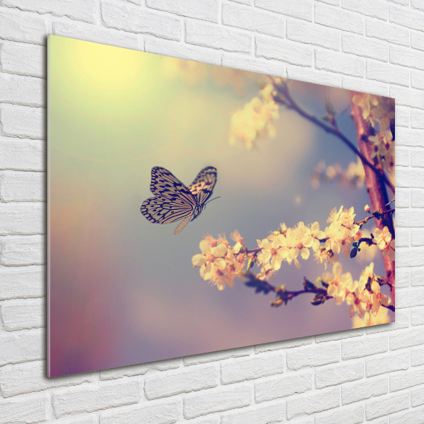 Schilderij op glas Kersenbloesem en vlinder