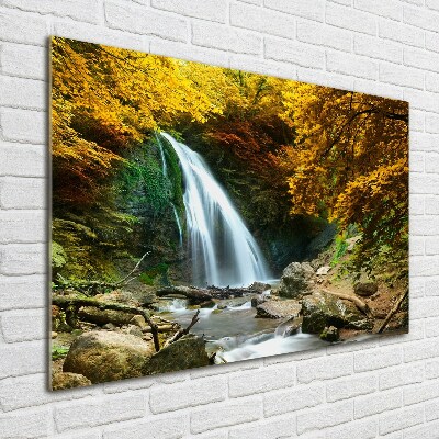 Glazen schilderij Waterval in het bos