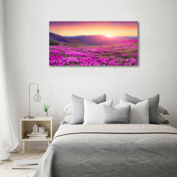 Foto schilderij op glas Roze heuvels