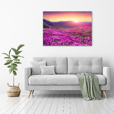 Foto schilderij op glas Roze heuvels