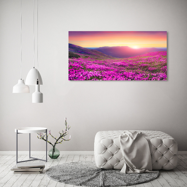 Foto schilderij op glas Roze heuvels