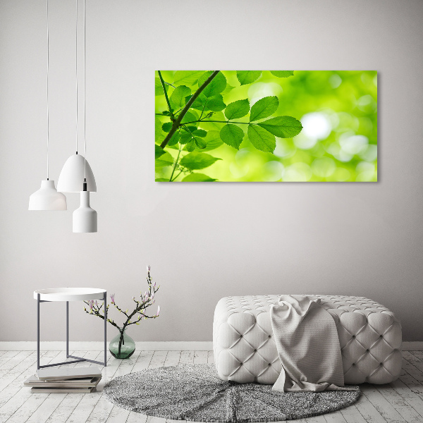 Schilderij glas Groene bladeren