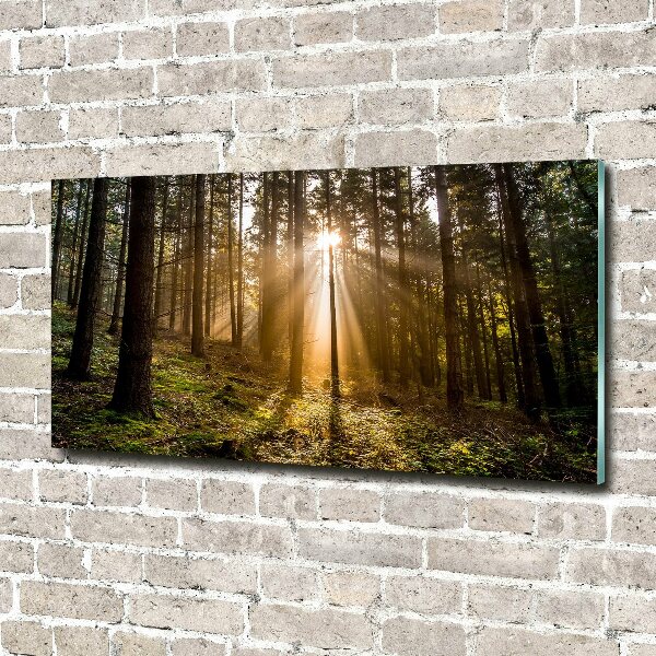 Glazen schilderij Zonlicht