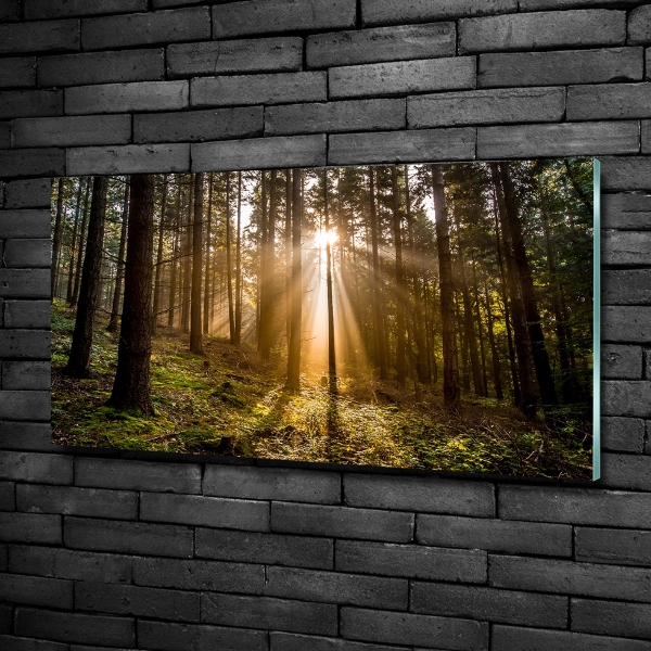 Glazen schilderij Zonlicht