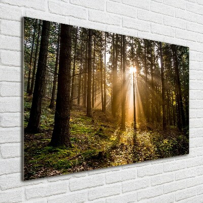 Glazen schilderij Zonlicht