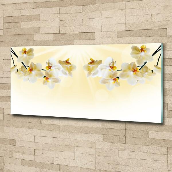 Foto schilderij op glas Orchidee