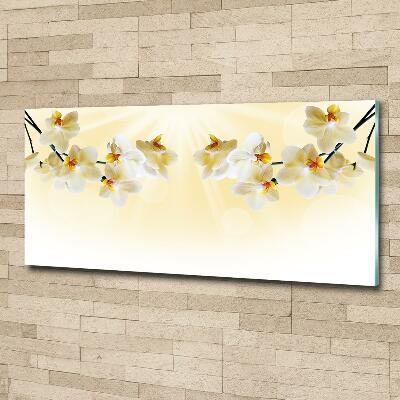 Foto schilderij op glas Orchidee