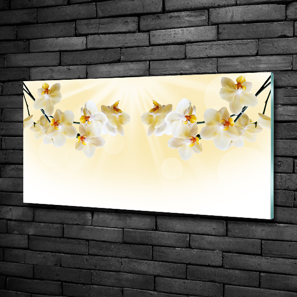 Foto schilderij op glas Orchidee