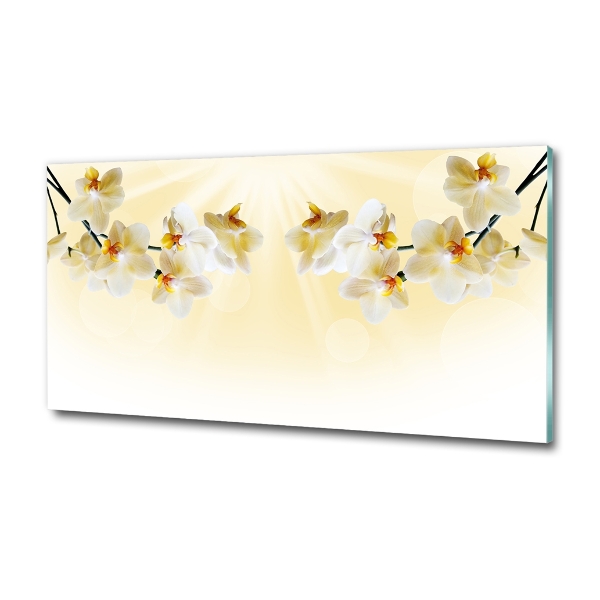 Foto schilderij op glas Orchidee