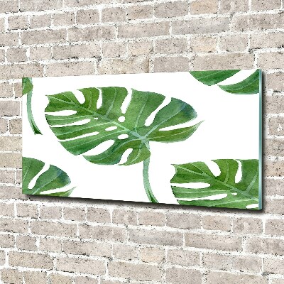 Foto schilderij op glas Monstera