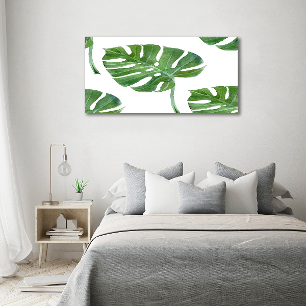 Foto schilderij op glas Monstera
