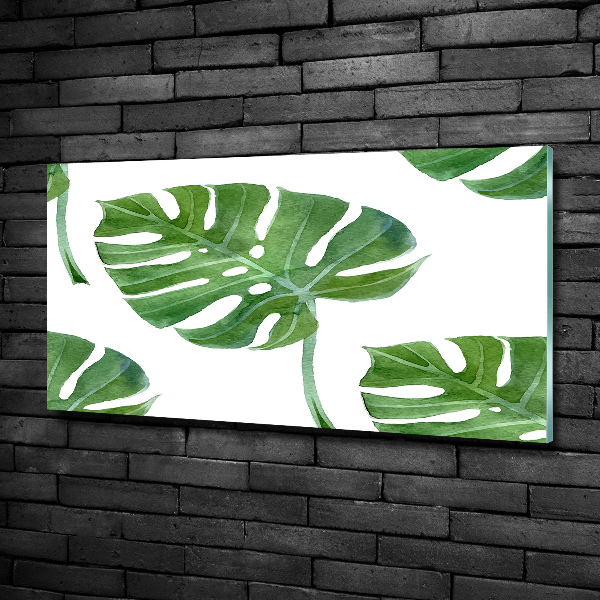 Foto schilderij op glas Monstera