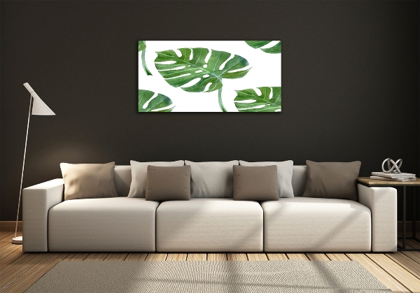 Foto schilderij op glas Monstera