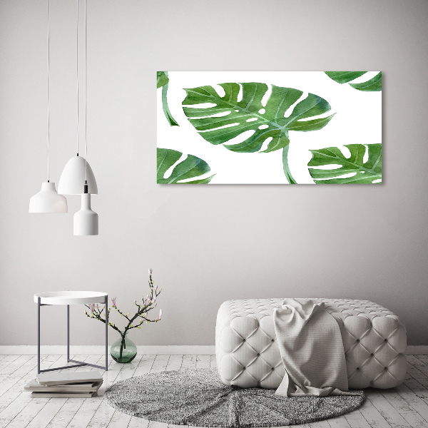 Foto schilderij op glas Monstera