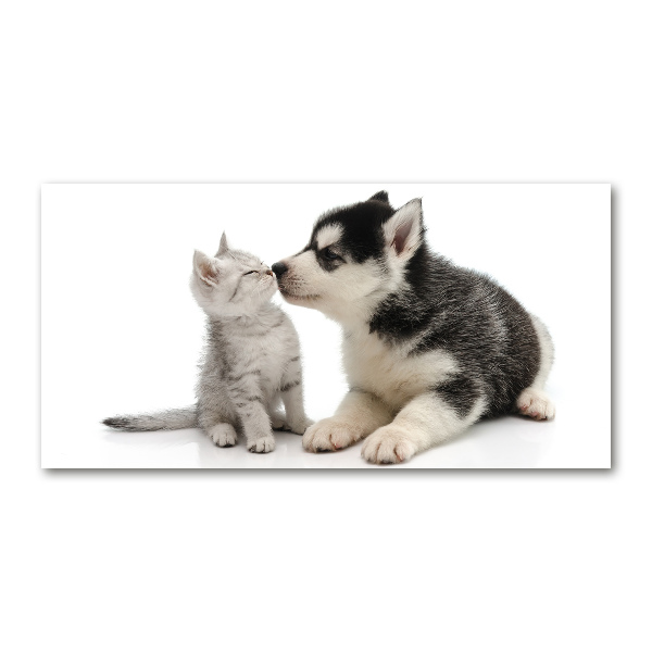 Schilderij glas Hond en kat