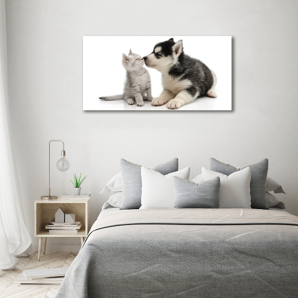 Schilderij glas Hond en kat